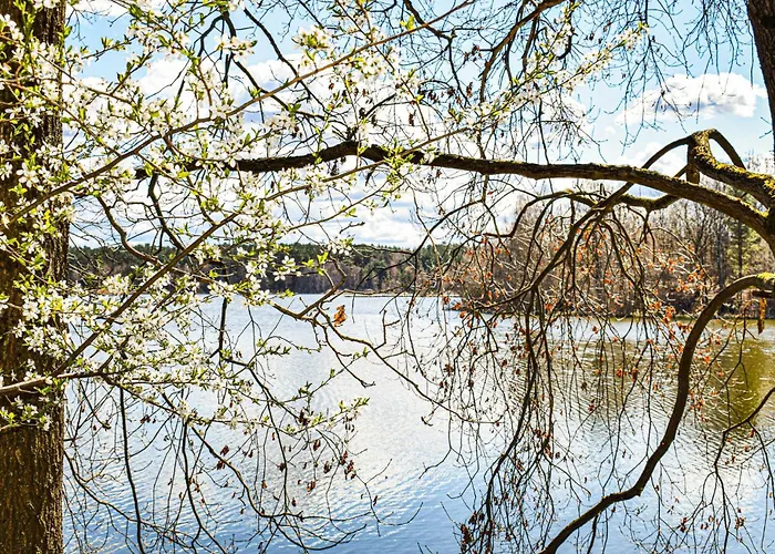 5 Bedroom Gorgeous In Swierzno